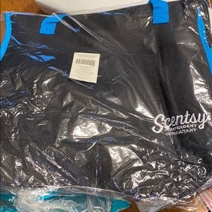 Scentsy consultant bag
